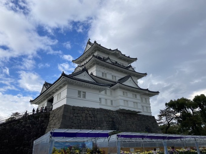 www.ramonerre.com - 御城印 久野城 価格比較